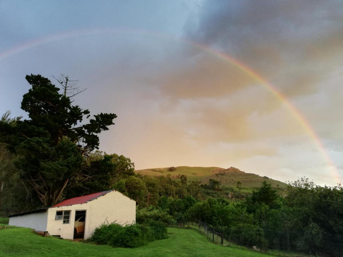 Sheeprun Farmstay Maclear Экстерьер фото