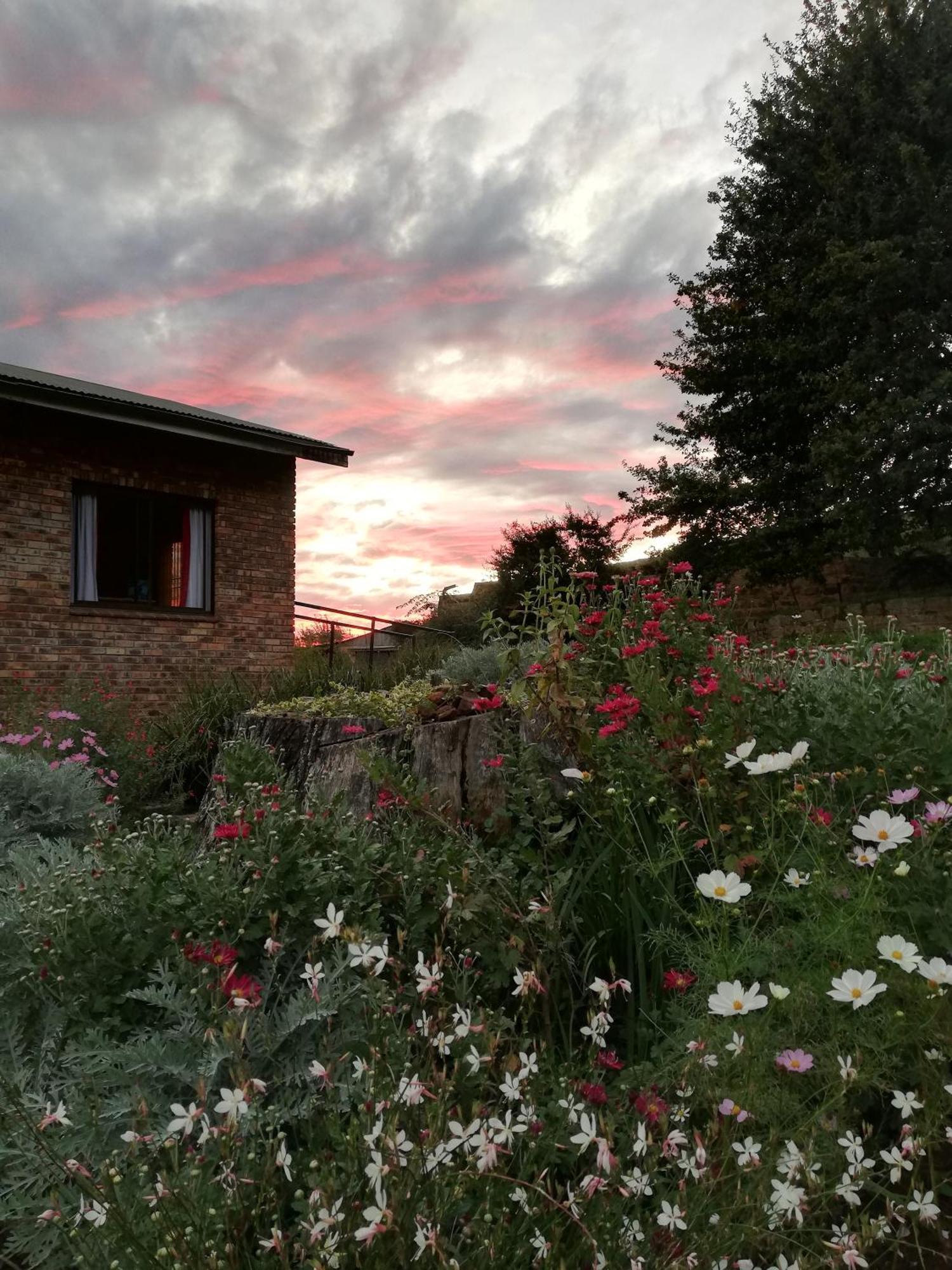 Sheeprun Farmstay Maclear Экстерьер фото